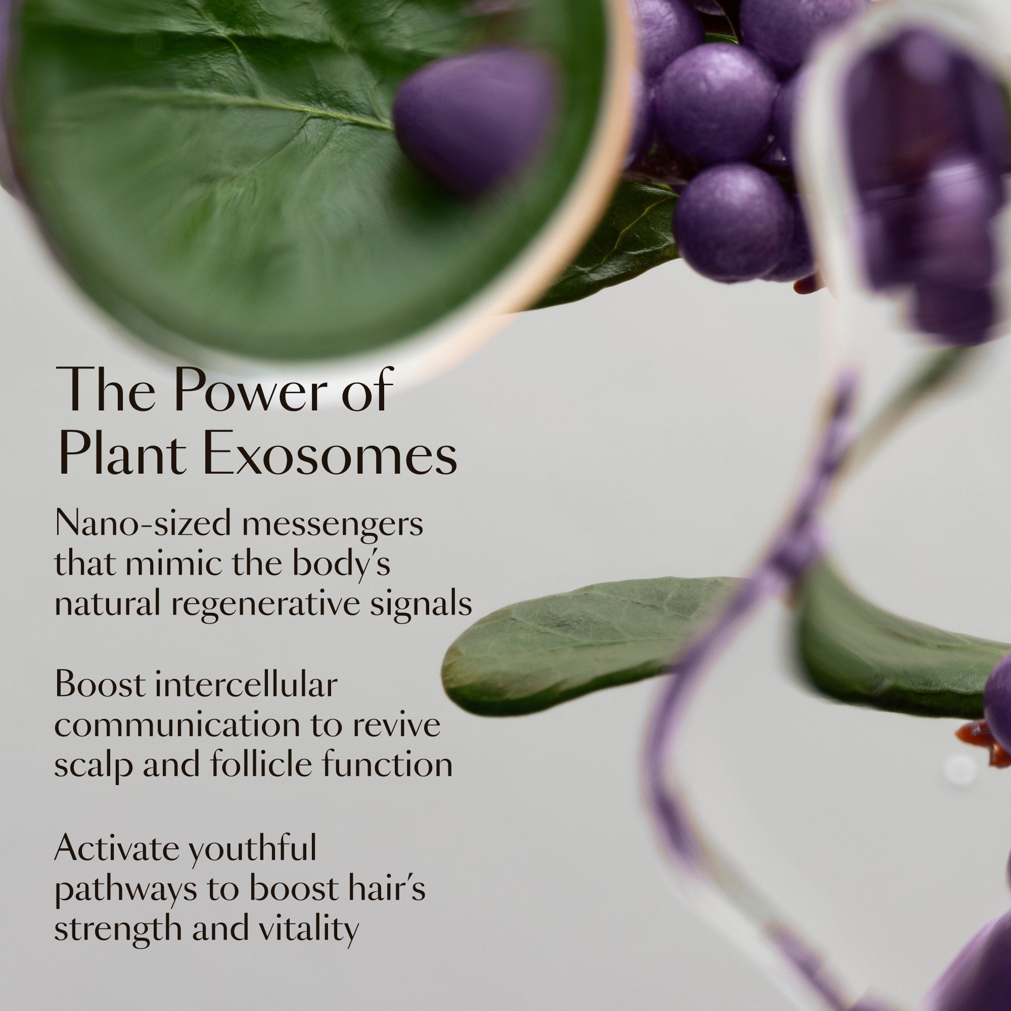 GRO+ Advanced Hair Serum